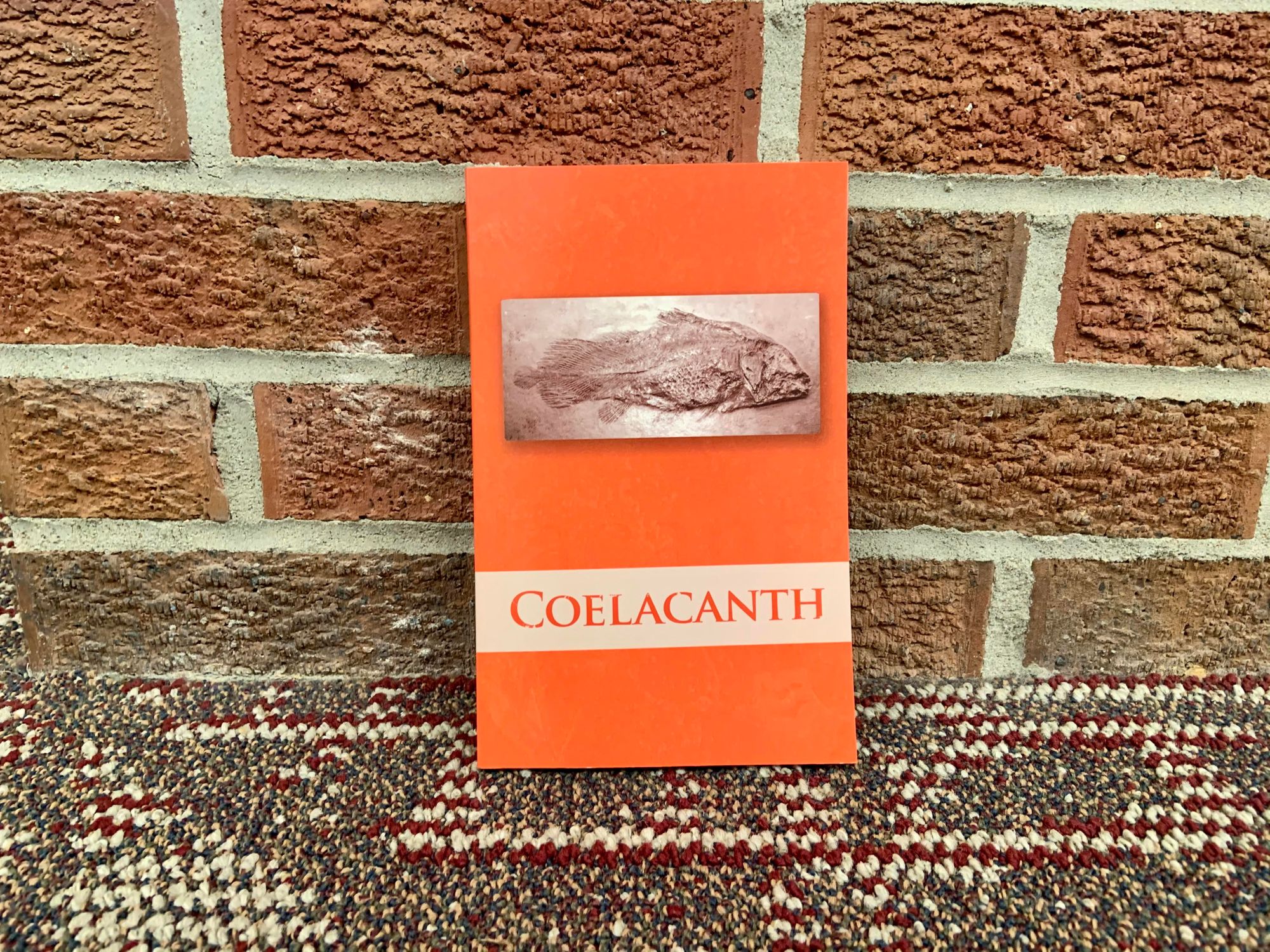 Coelacanth 2020 journal debuts after COVID-19 delays