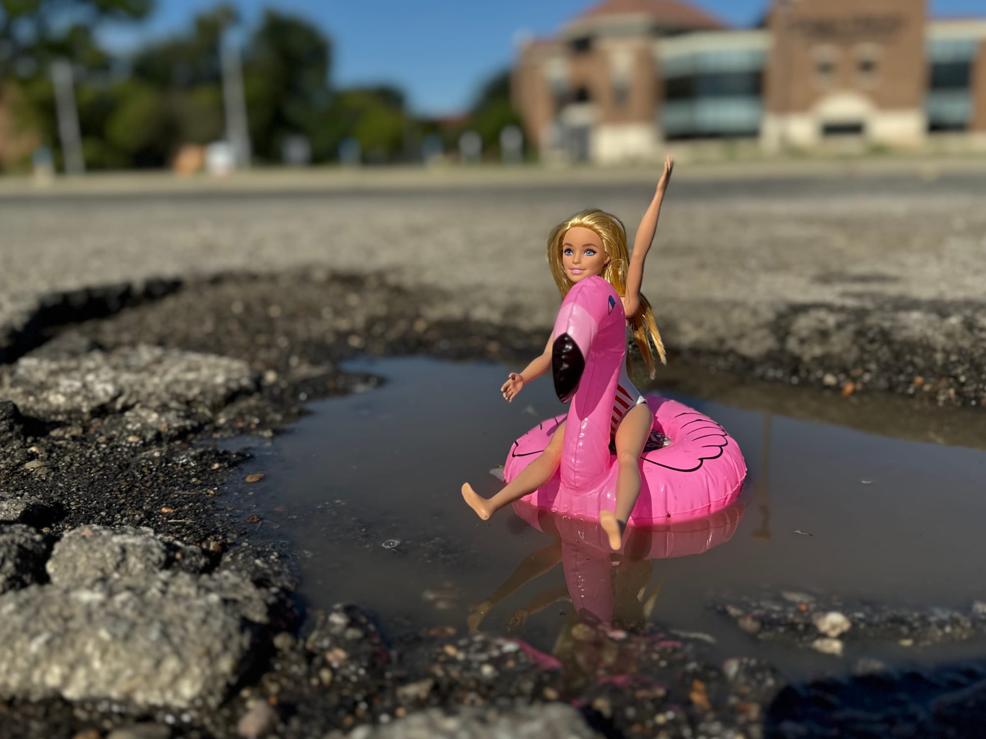 Eliminating Newman’s car-killing potholes